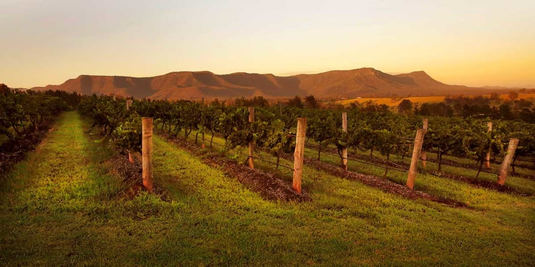 Scarborough Wine Farm in Hunter Valley New South Wales