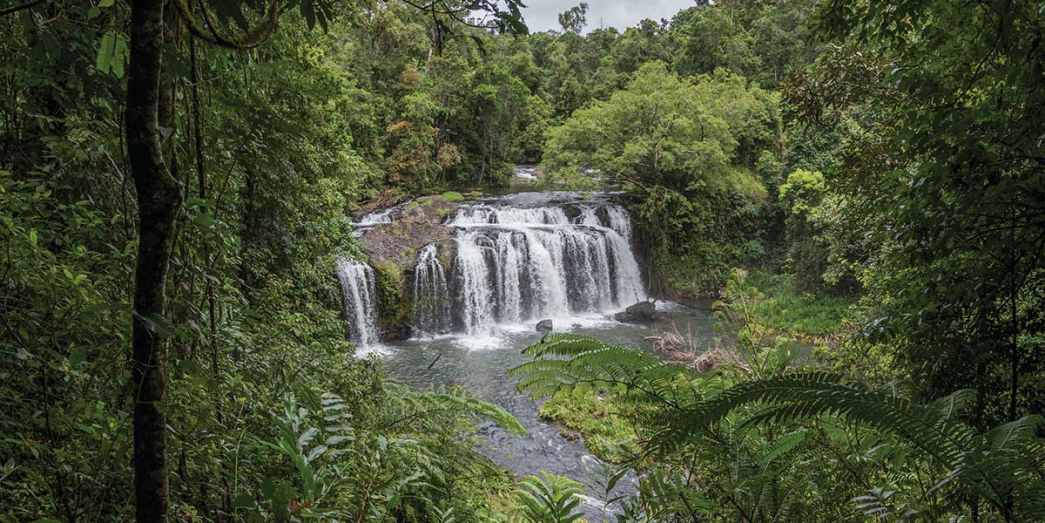 The hidden Wallicher Falls in the middle of the lush forestry