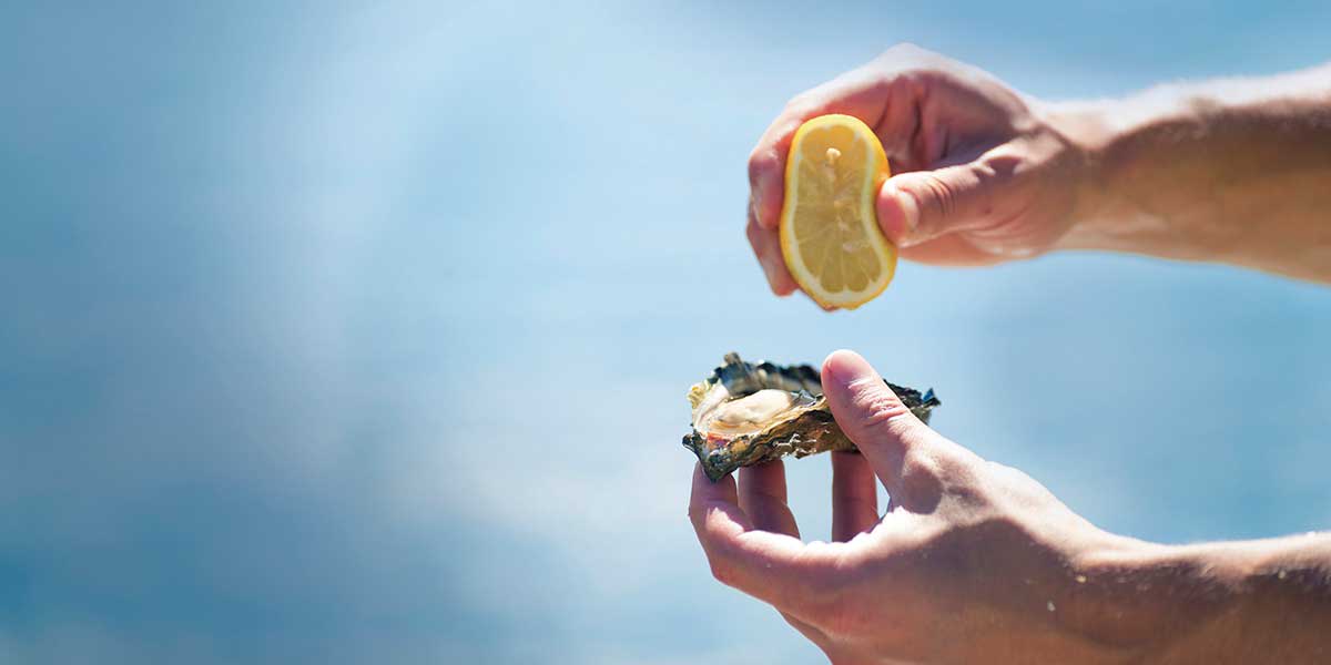 Fresh Oysters at Port Stephens New South Wales