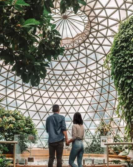 Brisbane's biggest botanic gardens house – the Tropical Dome