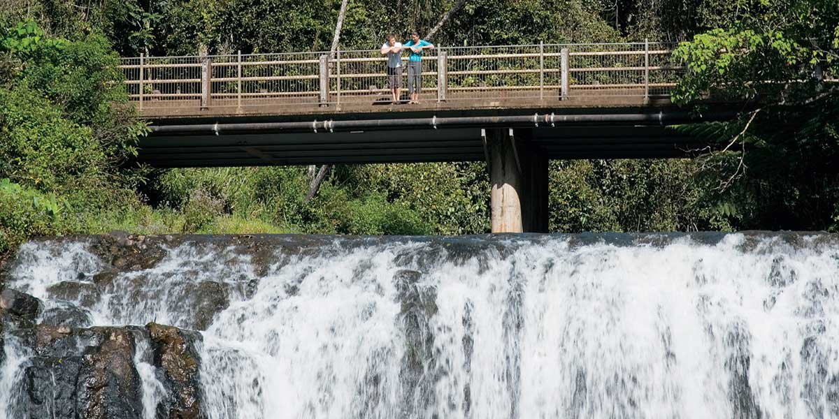 The stunning crisp freshwater of Malanda Falls under the walkway bridge