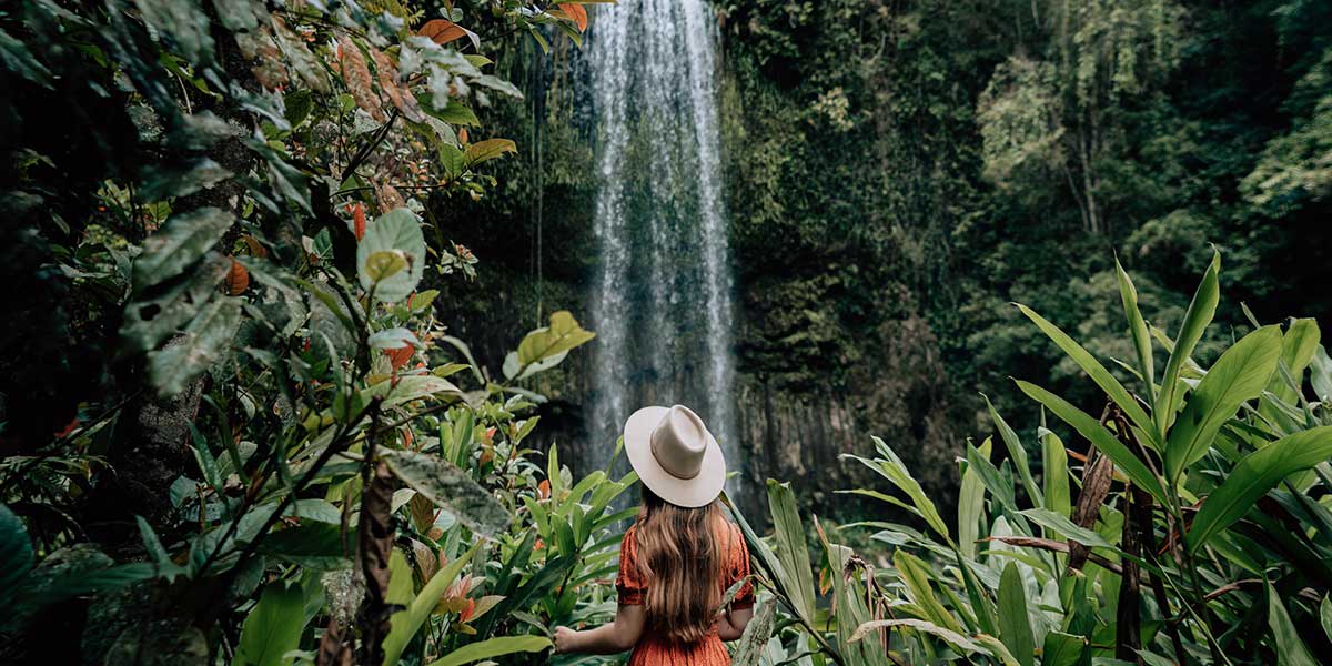 The World Heritage-listed 18-metre plunge Millaa Millaa Falls