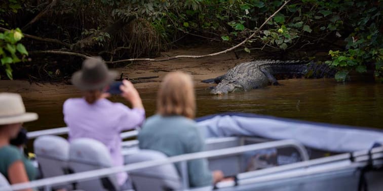Daintree Boatman Wildlife Cruises Queensland