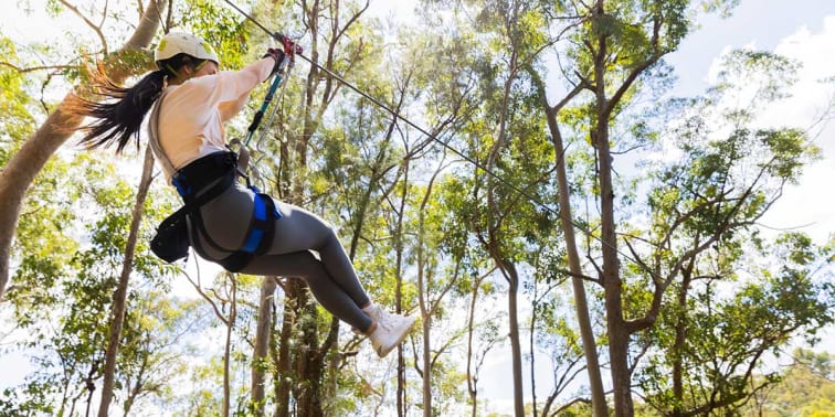 A thrilling zipline and high ropes hopping through the rainforest of Currumbin Wildlife Sanctuary