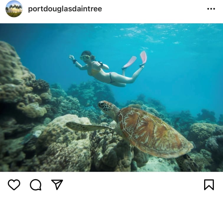 Snorkel in Queensland's tropical north
