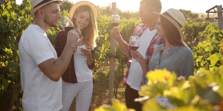 Group of friends enjoying the wines at the Hunter Valley vineyard