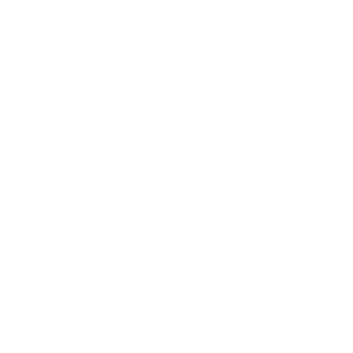 Minor PRO