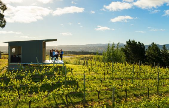 South Australia Winery near Oaks Hotels Resorts and Suites
