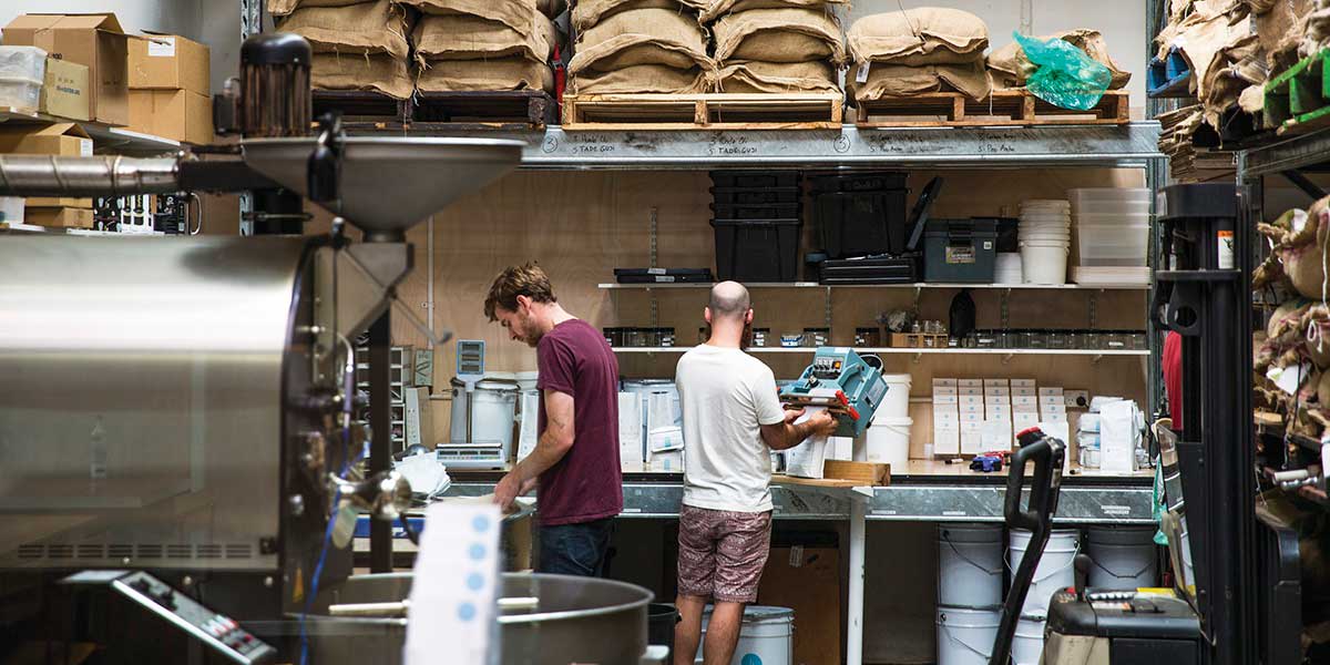 Workers of the Industry Beans preparing the roasting and packing of coffee beans inside the warehouse