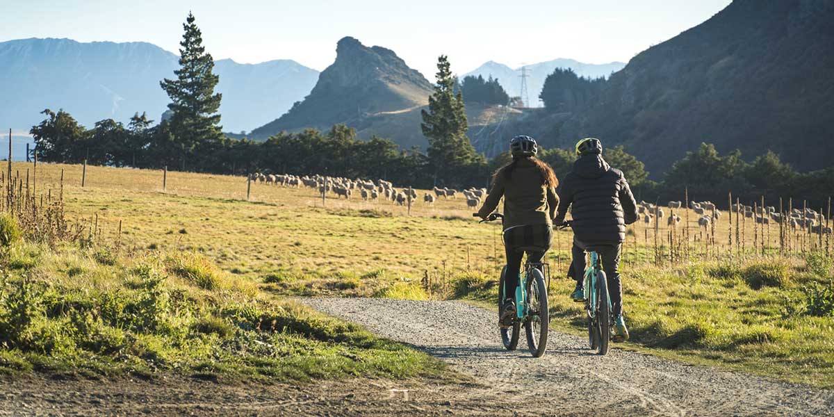 Biking at the Gibbston Valley Winery with scenic view of the nearby wineries
