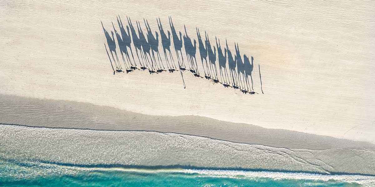 Pre-sunset camel tour across the magnificent Cable Beach with the ocean lapping at your feet
