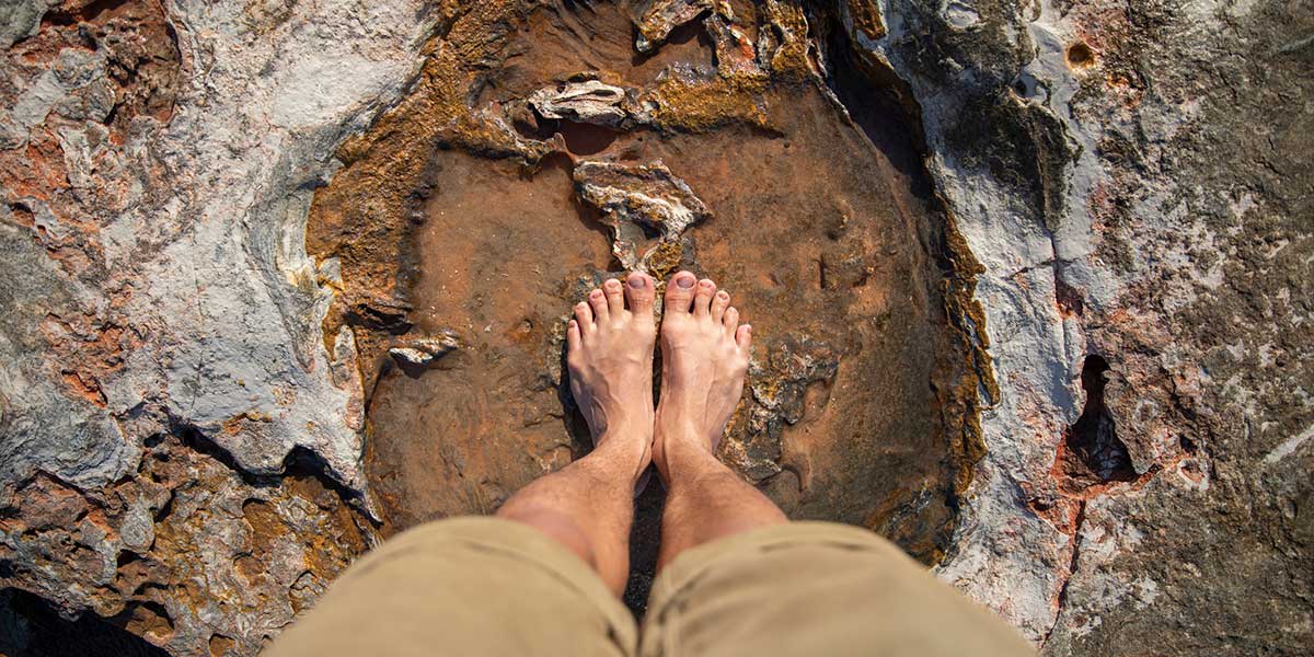 Dinosaur footprints preserved in reef rock at Gantheaume Point, Broome Australia