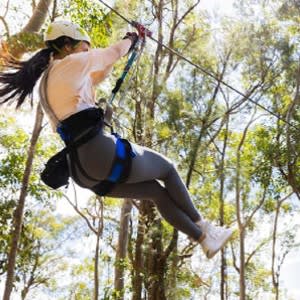 A thrilling zipline and high ropes hopping through the rainforest of Currumbin Wildlife Sanctuary