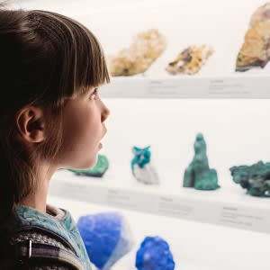 A kid observing the beautiful display of minerals at the South Australian Museum