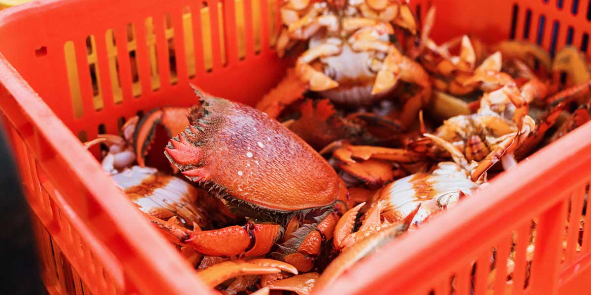 A basket full of fresh seafood from The Spit at Mooloolaba