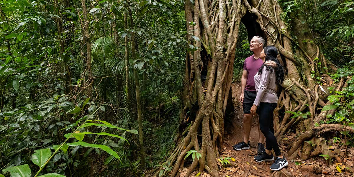 Couple wandering the beauty of Eungella National Park and its lush rainforest
