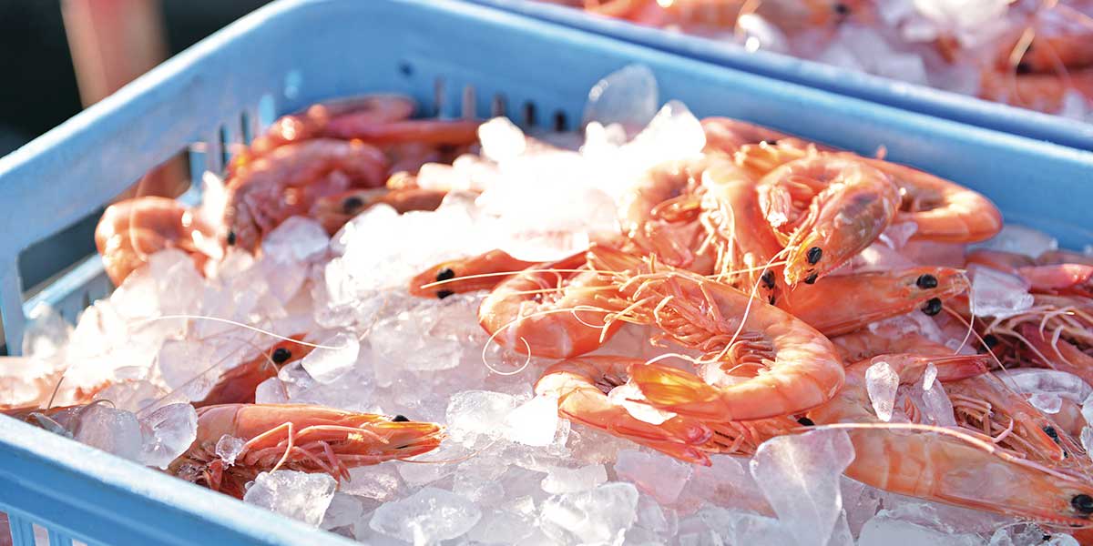 Delicious fresh prawns from the Mooloolaba spit in Queensland