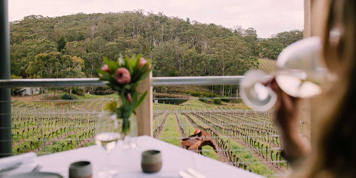 View of the Adelaide Hills vineyard from the inside of a restaurant