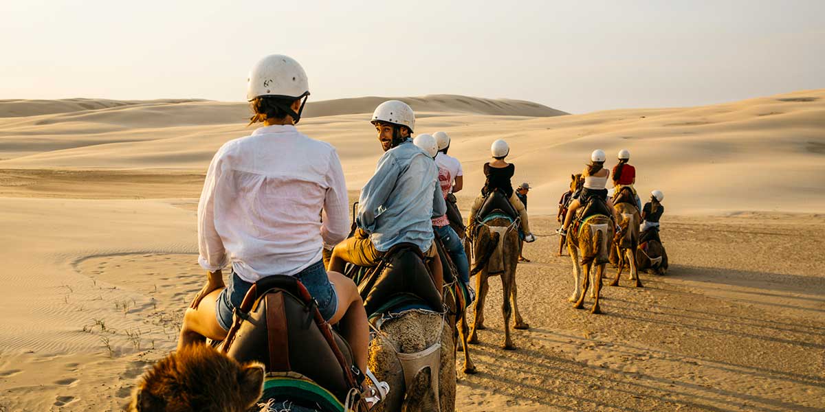 Oakfield Ranch Camel Rides treks over the sand dunes at Birubi Beach, at the northern end of the dunes