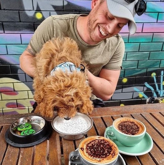 An owner feeding his dog with treats at The Velo Project, Mooloolaba