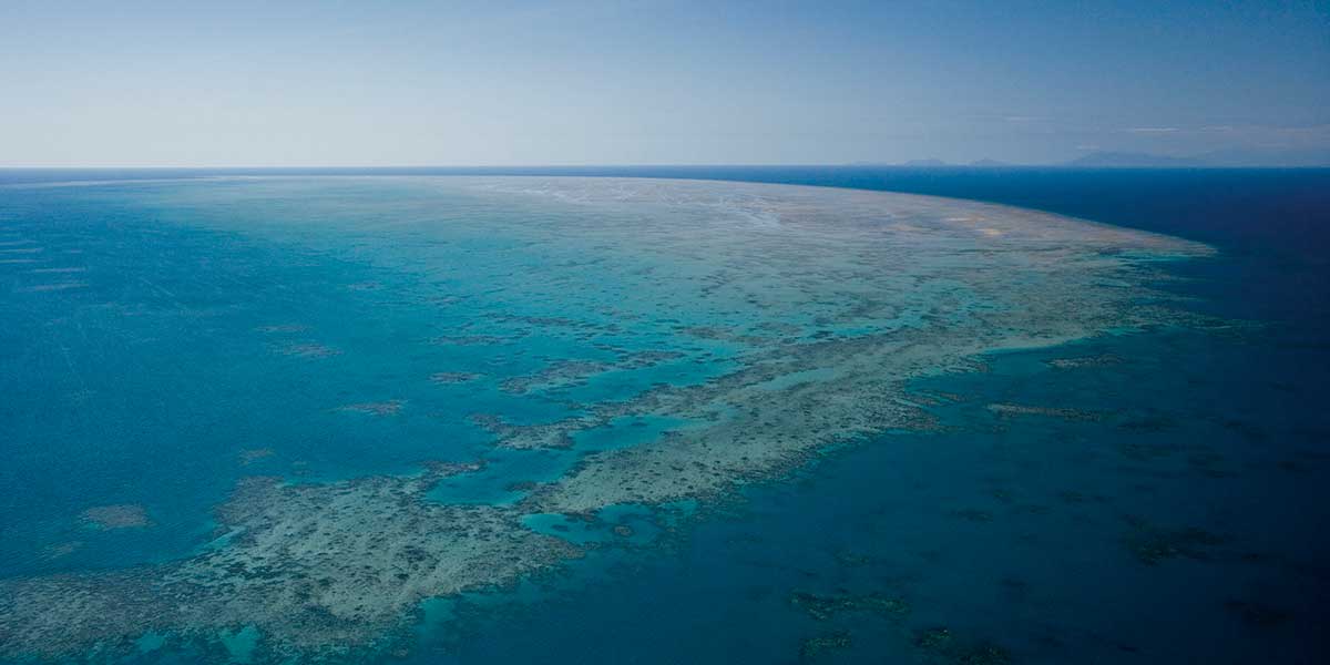 Giant and blue waters of Batt Reef in Port Douglas Queensland