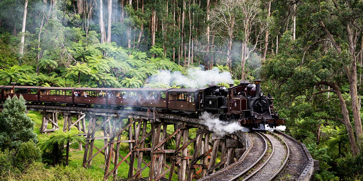 Approaching Puffing Billy, Australia's premier preserved steam railway--a great way to explore nature outside the city