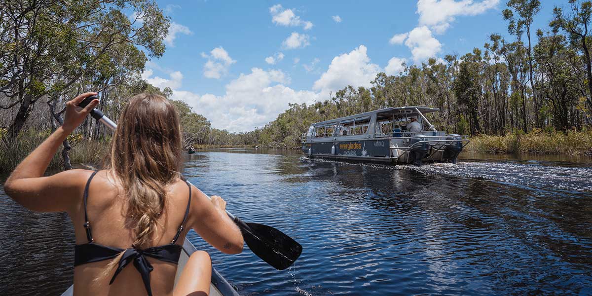 A girl sightseeing on a boat  into the pristine and untouched Noosa Everglades