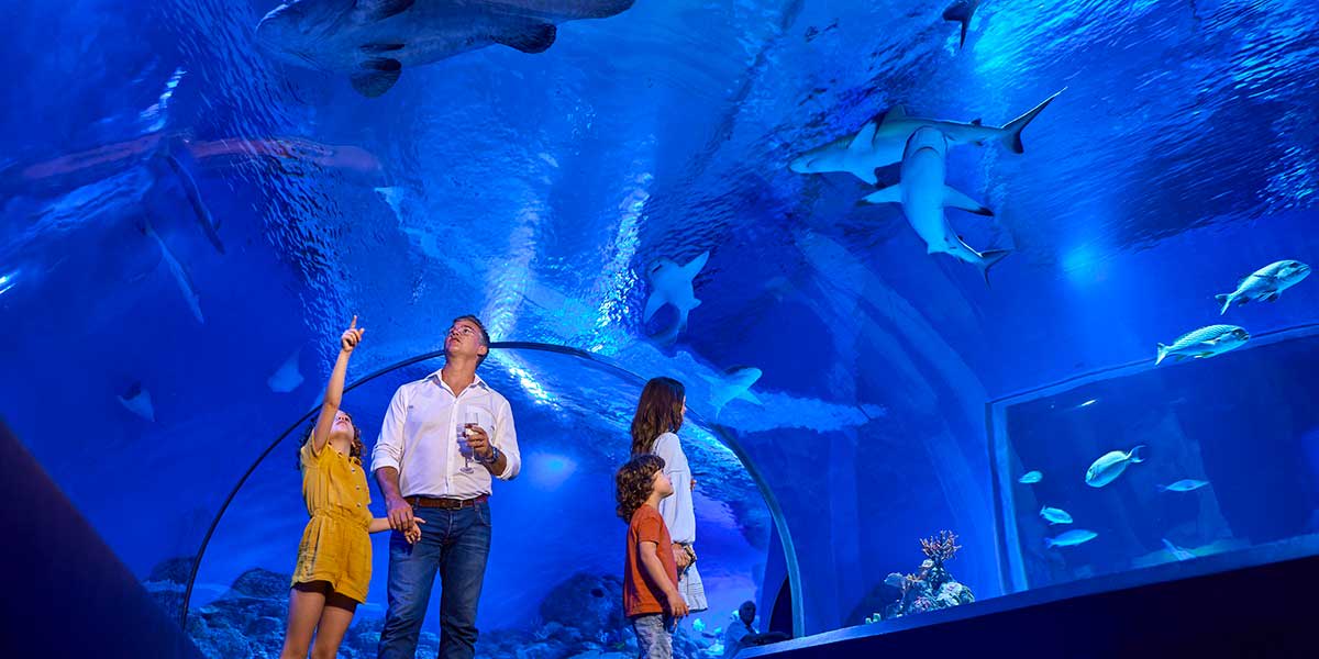 A kid with his parents pointing the sharks and stingrays just above them inside the 360 view of Cairns Aquarium