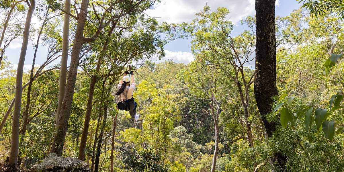 Adrenaline pumping with the TreeTop Challenge in high ropes adventure