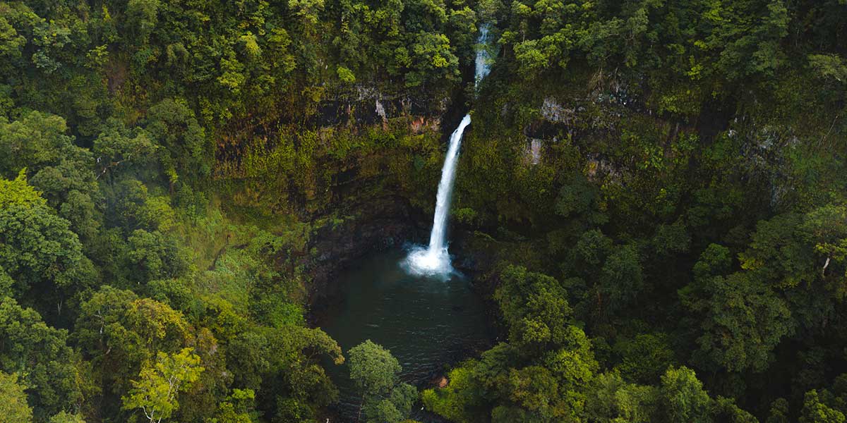 Nandroya Falls’ wide cascades and tall waterfalls with lush green forest around it