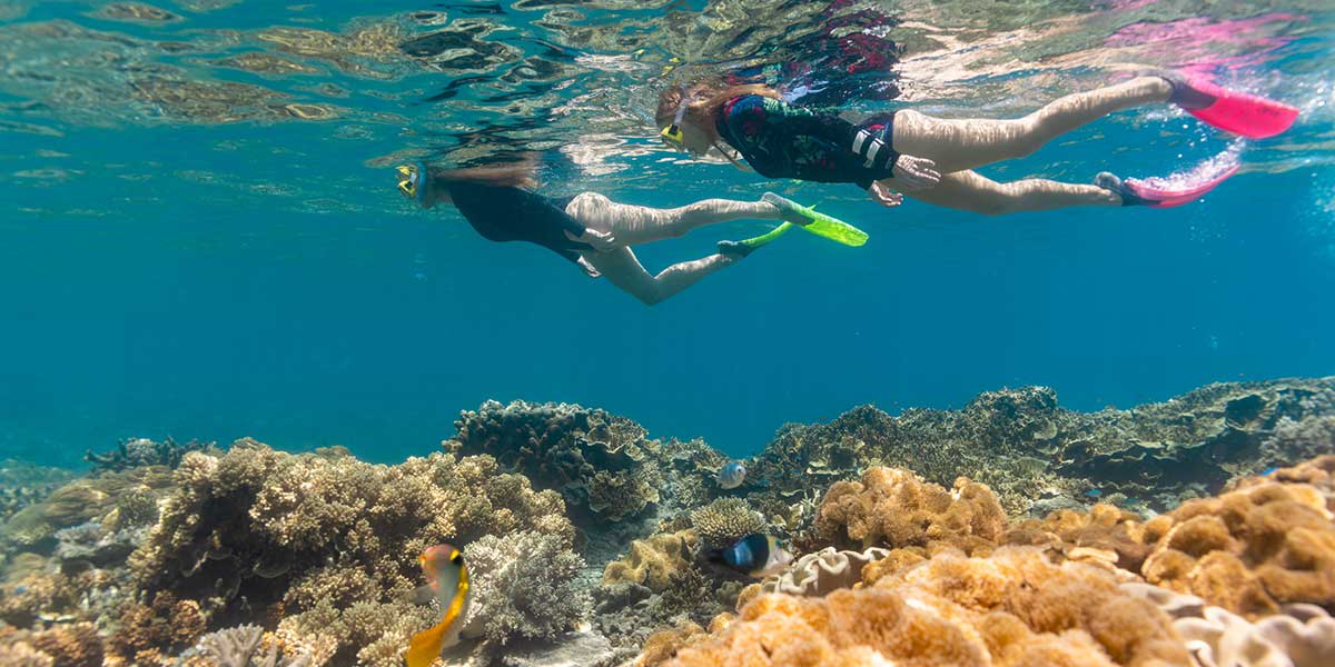 Snorkeling beneath the waves uncovering a secret world of colorful coral and vibrant marine life