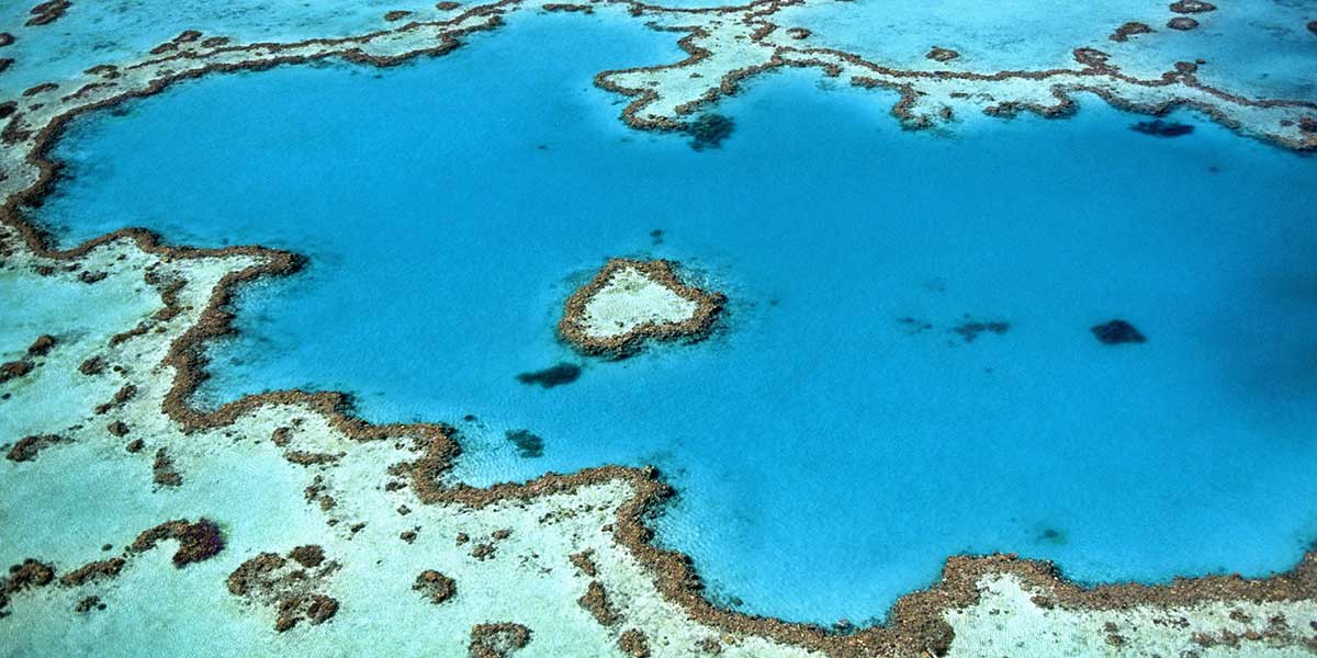 Great Barrier Reef Heart