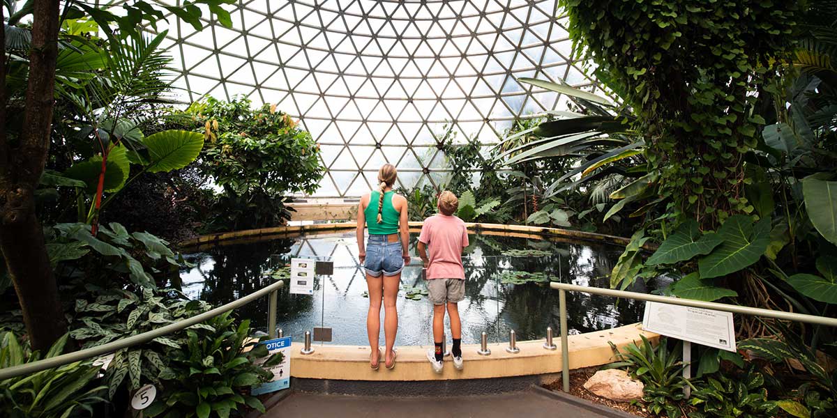 Siblings wandering the lush forest and lagoon inside the Brisbane Tropical Display Dome