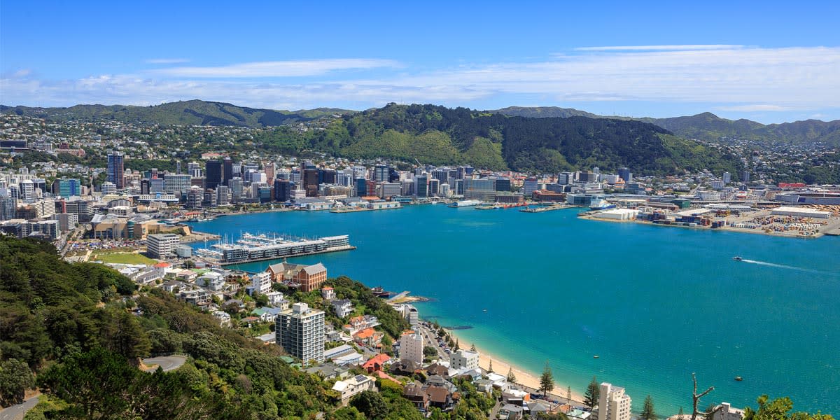 Aerial view of Wellington in New Zealand