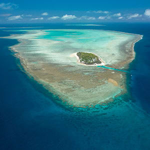 Heron island gladstone great barrier reef