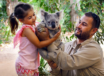 young girl holding koala on sunshine coast