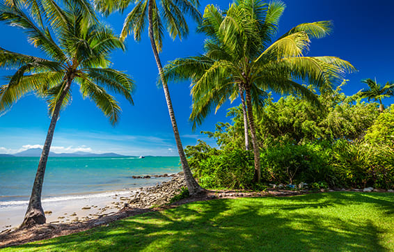 tourists on summer holiday lying in shade of palm trees on beach at Port Douglas resorts hotel in Queensland Australia