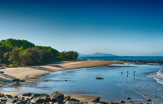Mackay hotels on beachfront with tourists walking dogs in the morning whilst on holiday in Queensland, Australia
